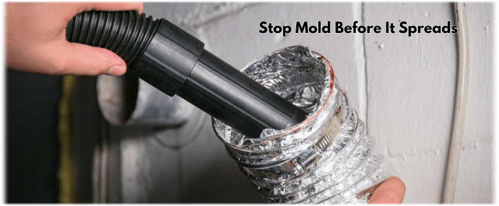 Air Duct Mold Removal in McDonough GA